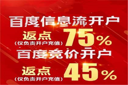 某电商平台SEM竞价广告的转化率提升案例